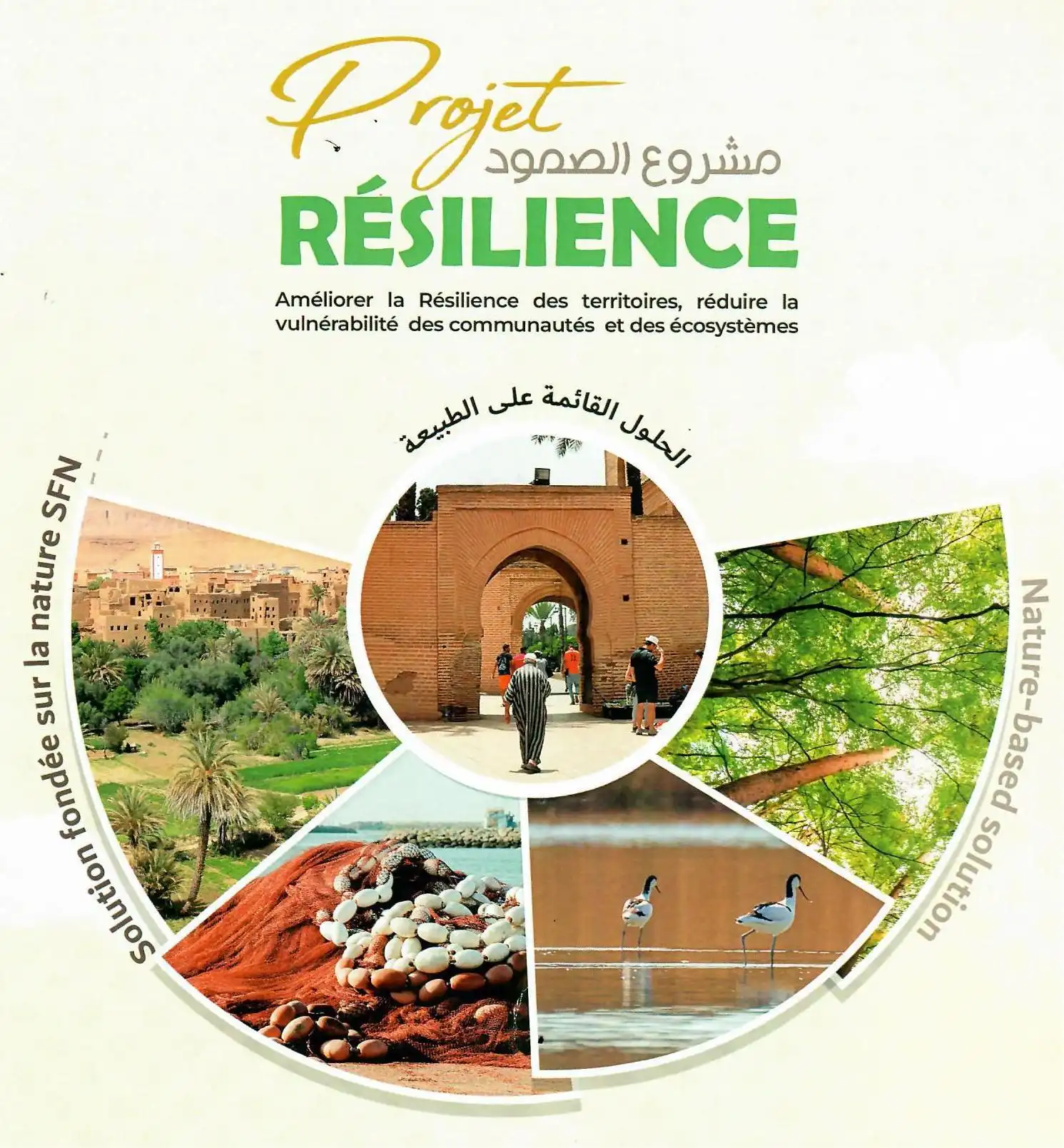 atelier-de-capitatlisation-du-projet-resilience.jpg