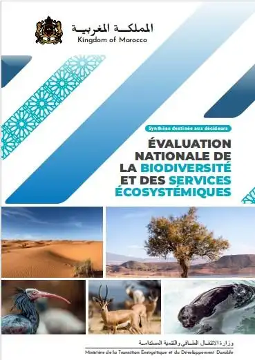 page-de-garde-du-rapport-enbse.jpeg