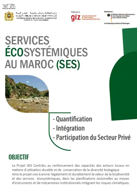 Image_Projet_SES.jpg