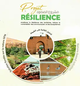atelier-de-capitatlisation-du-projet-resilience.jpg