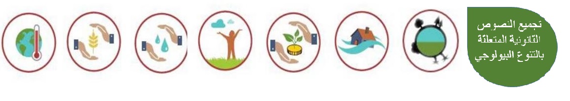 تجميع النصوص الفانونية